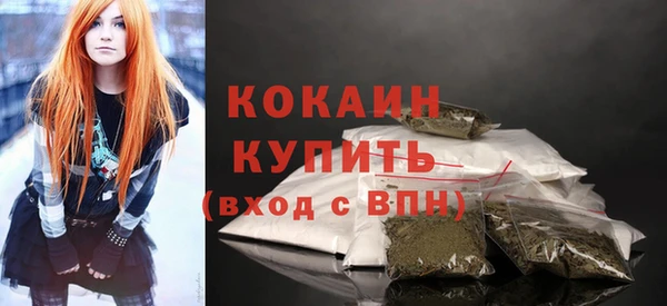индика Новозыбков