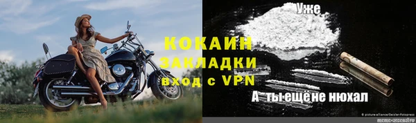 индика Новозыбков
