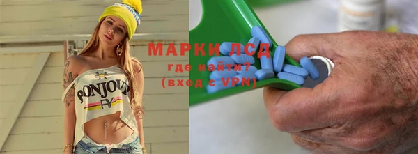 индика Новозыбков