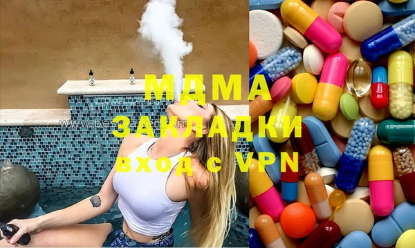 индика Новозыбков