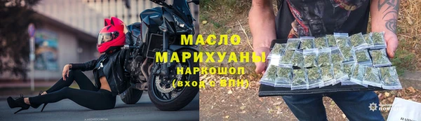 индика Новозыбков