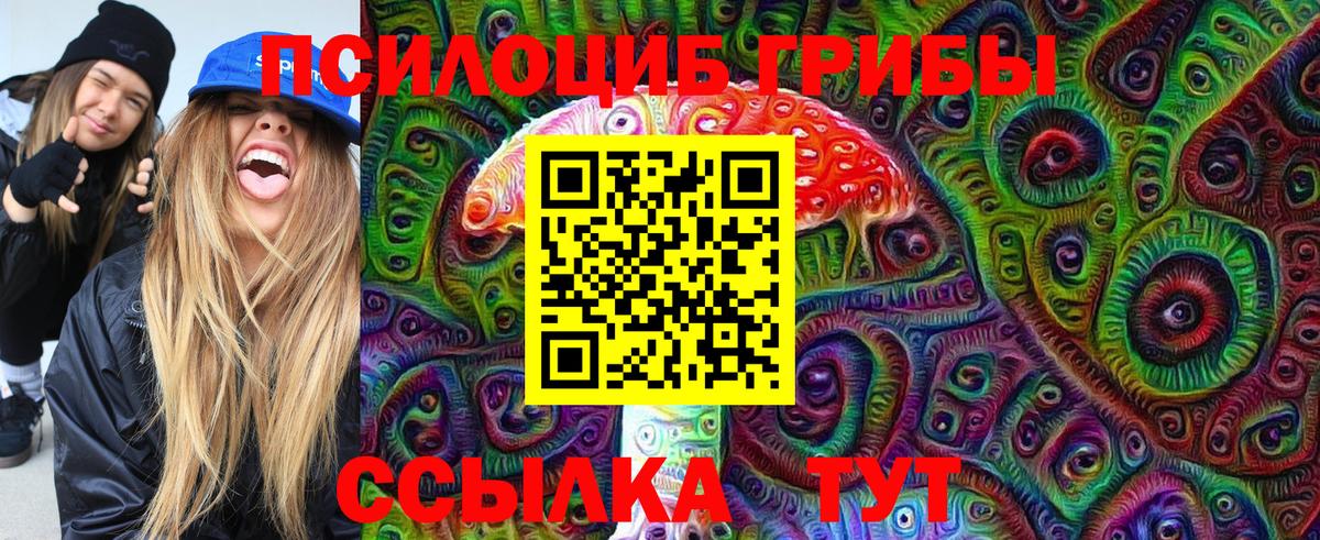 Галлюциногенные грибы Cubensis  Вход с VPN  Кудымкар 